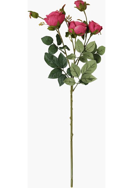 6 Başlı Gül Dal Bordeux 64 cm