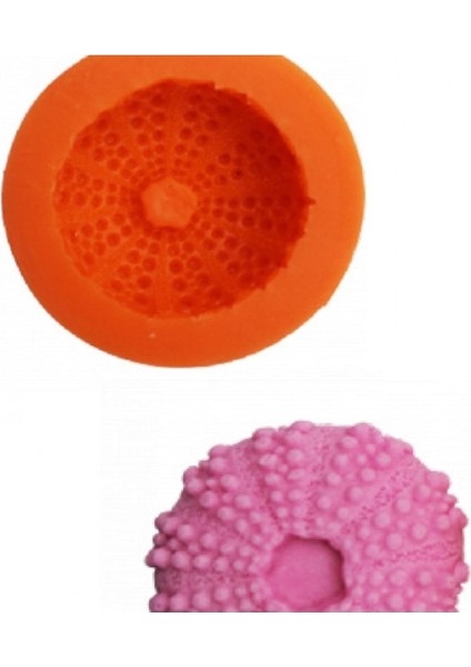 Mini Deniz Kestanesi Gıda Silikon Kalıp, Lezzetli ve Şık Sunumlar Için Mükemmel