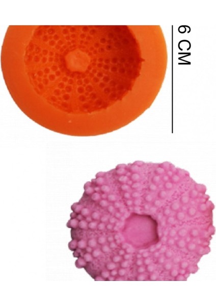 Mini Deniz Kestanesi Gıda Silikon Kalıp, Lezzetli ve Şık Sunumlar Için Mükemmel fiyatları