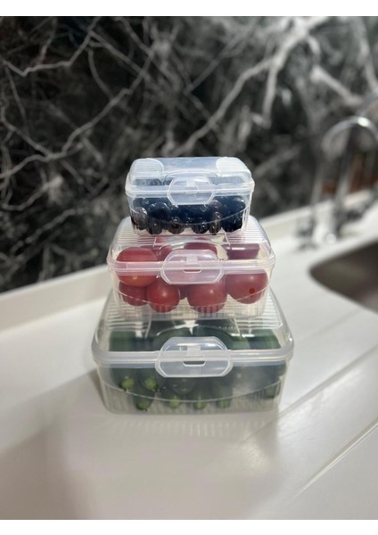 Dikdörtgen Kilitli Saklama Kabı Seti, 3'lü, Farklı Boyutlarda, Dayanıklı ve Şık Tasarım