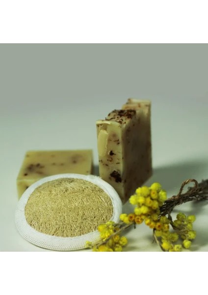 Doğal Kabak Lifi Oval Yüz Kesesi Kabak Kesesi fiyatları