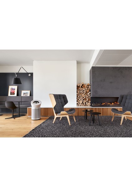 HEPA Big+Quiet Formaldehyde™ BP06 Hava Temizleyici (Beyaz/Parlak gümüş) fırsatları