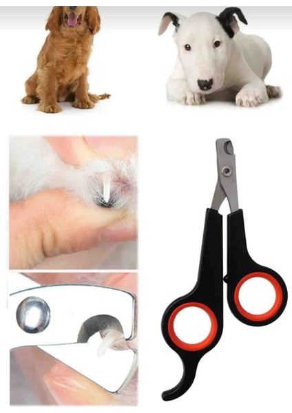 Tüy Toplama Eldiveni ve Pet Tırnak Makası modelleri