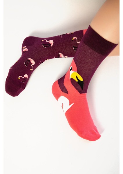 Unisex Bordo Flamingo Renkli Çorap fiyatları
