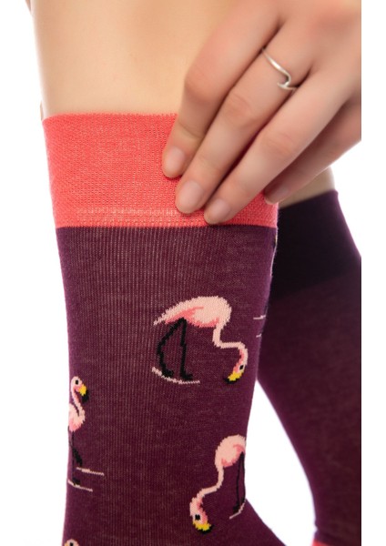 Unisex Bordo Flamingo Renkli Çorap modelleri
