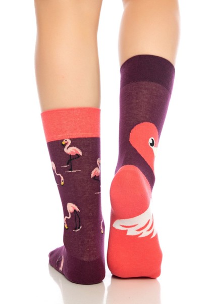 Unisex Bordo Flamingo Renkli Çorap fırsatları