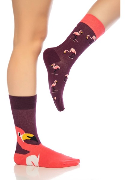 Unisex Bordo Flamingo Renkli Çorap indirimleri