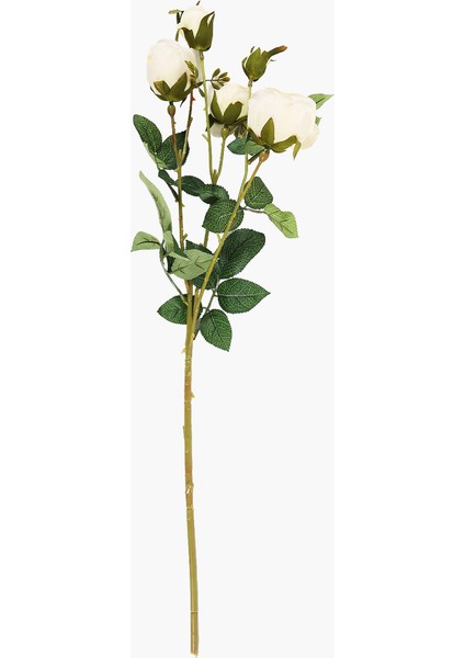 6 Başlı Gül Dalbeyaz 64 cm