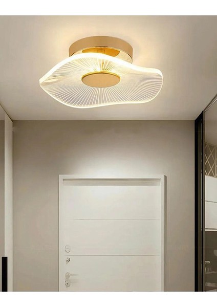 Istanbul Avize Şapka Plafonyer Tavan Gold 3 Renk LED Lüx Modern Ledli Avize