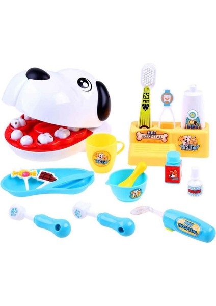 Veteriner Diş Hekimi Seti 17 Parça fiyatları