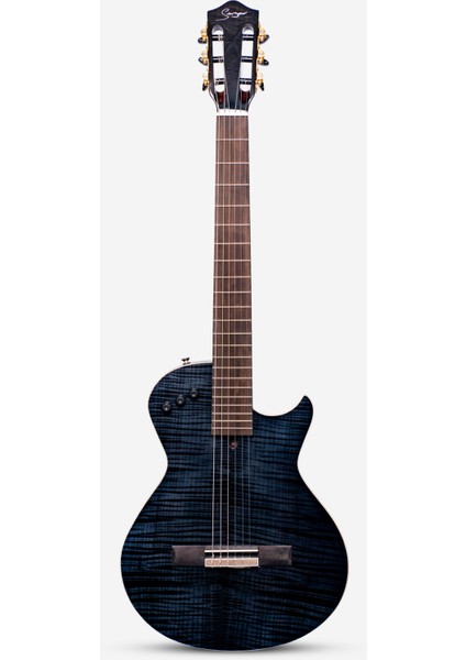 Elektro Klasik Gitar Le-C2 Tbk