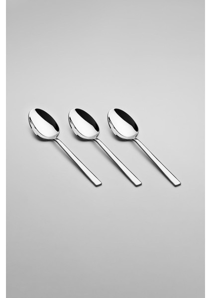 12'li Metal Çay Kaşık Takımı, Şık ve Kullanışlı Ev Gereçleri