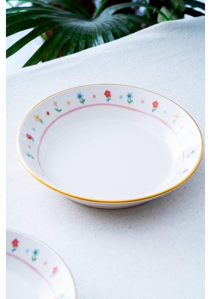 6 Parça Renkli Yemek Tabağı, 19 Cm, Şık ve Kullanışlı Set