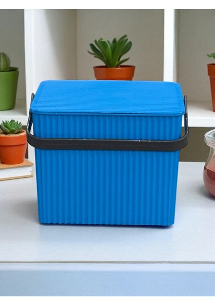 Rainbow Mavi Kare Kova Piknik Sepeti Meyve Kovası fiyatları