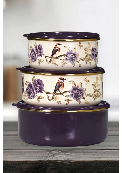 Renkli Emaye Üçlü Saklama Seti, Şık ve Kullanışlı Mutfak Düzeni Sağlar.