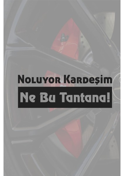 Noluyor Kardeşim Ne Bu Tantana Oto Cam Araba Motor Sticker