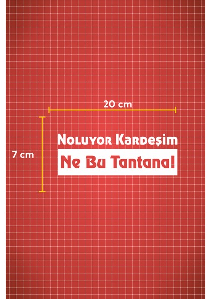 Noluyor Kardeşim Ne Bu Tantana Oto Cam Araba Motor Sticker fiyatları