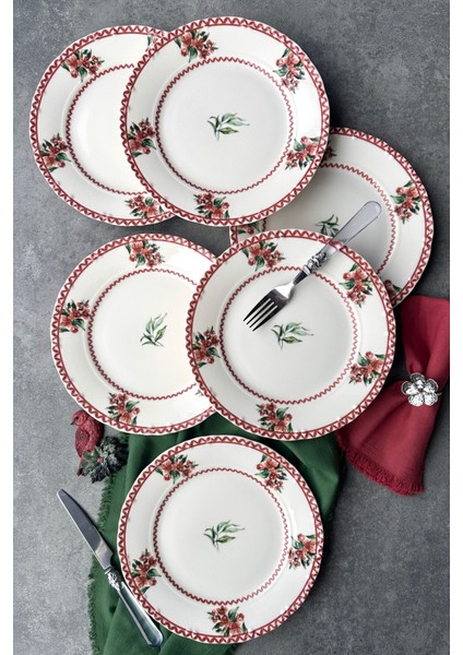 6 Kişilik 25 cm Özel Tasarım Porselen Servis Tabağı Takımı, Kırmızı ve Yeşil Renk Seçenekleri fiyatları