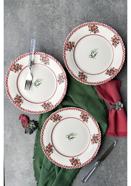 6 Kişilik 25 cm Özel Tasarım Porselen Servis Tabağı Takımı, Kırmızı ve Yeşil Renk Seçenekleri modelleri
