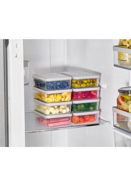 Renkli 8'li Saklama Kabı Seti, 0.5 Litre, Pratik ve Şık Tasarım