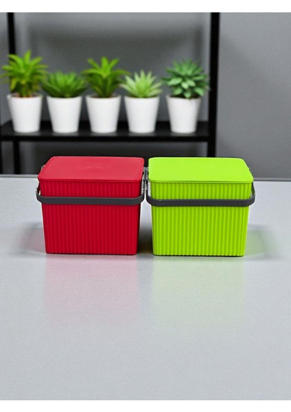 Rainbow 2'li Yeşil Kırmızı Kare Kova Piknik Sepeti Meyve Kovası modelleri