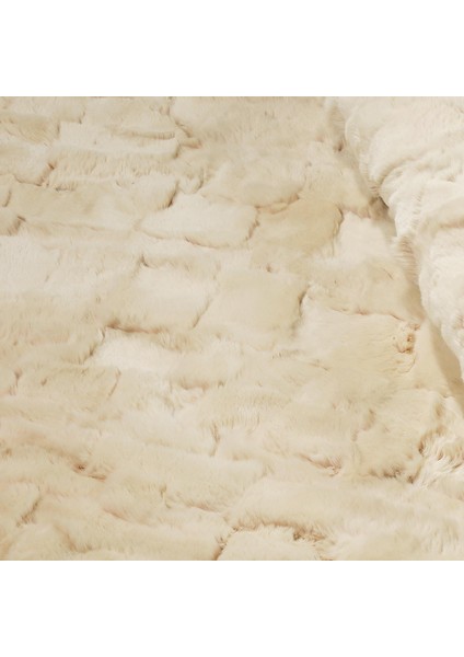 Krem Rex Tavşan Halısı - Yumuşak Salon Halısı, Kaymaz Taban Halı modelleri