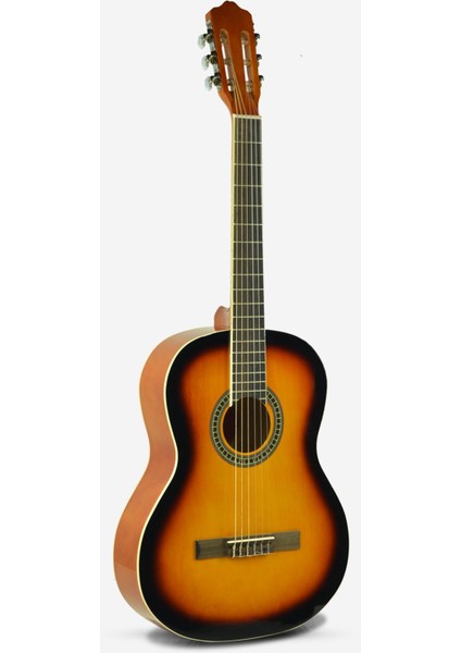 4/4 Klasik Gitar EC-309 3ts