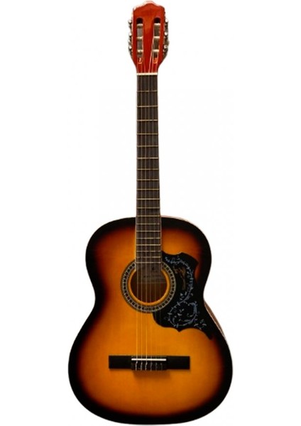 4/4 Klasik Gitar EC-309 3ts fiyatları