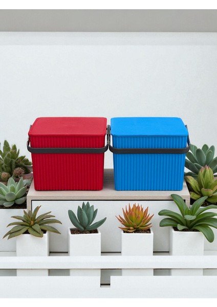 Rainbow 2'li Kırmızı Mavi Kare Kova Piknik Sepeti Meyve Kovası fiyatları