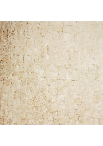 Krem Rex Tavşan Halısı - Yumuşak Salon Halısı, Kaymaz Taban Halı indirimleri