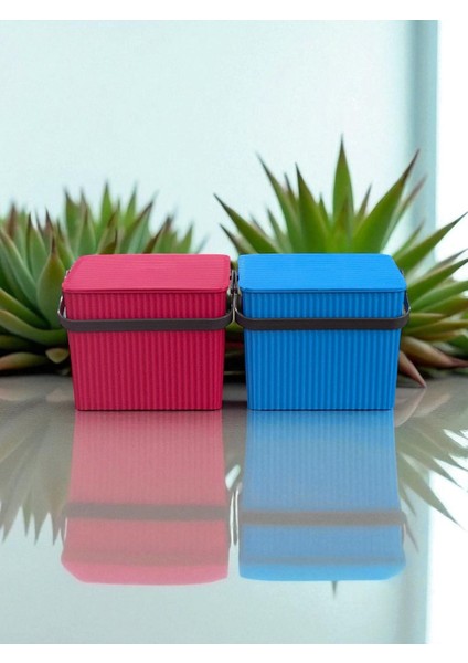 Rainbow 2'li Mavi Pembe Kare Kova Piknik Sepeti Meyve Kovası fiyatları