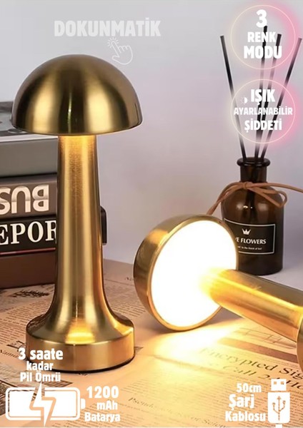 Renkli ve Şarjlı Dokunmatik Masa Lambası, Metal Tasarım, 3 Işık Seçeneği, Rose Gold