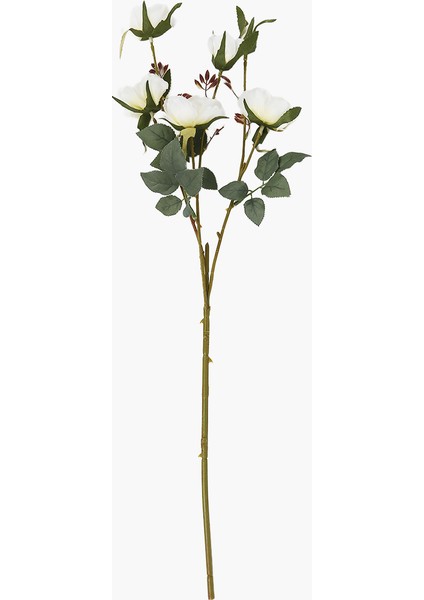 6 Başlı Gül Dal Beyaz 65CM