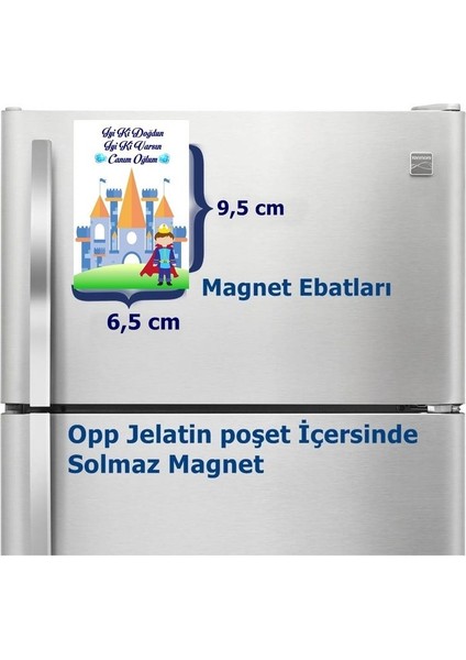 Prens Magnet Büyük Boy 6,5x9,5 cm 16 Adet Gelecek fiyatları