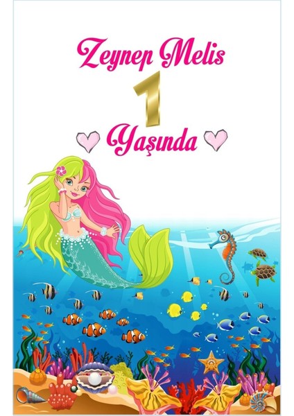 Deniz Kızı Modeli 16 Adet Gönderilecek Iletişime Geçmek Için Açıklama Kısmına Bakınız