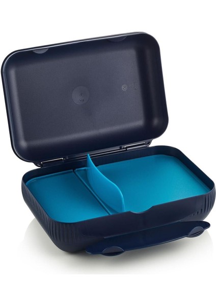 Siyah Renkli Eco Ayraçlı Pratik Yemek Kabı