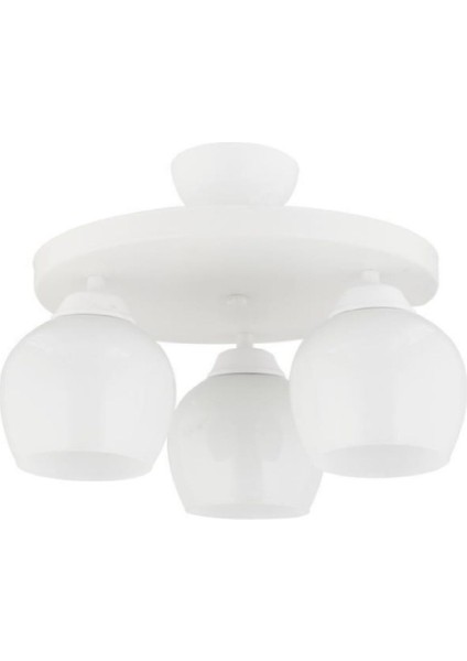 Modern Üçlü Yuvarlak Camlı Plafonyer Avize, Şık ve Zarif Tasarım.