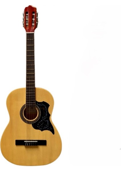 4/4 Klasik Gitar EC-309N