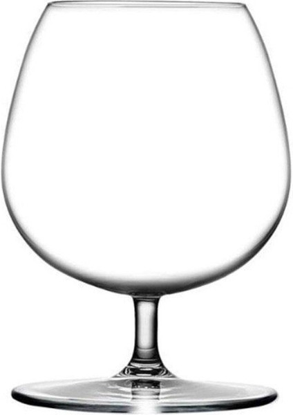 Şık 2'li Konyak Bardağı Takımı, 500 Ml, Vintage Tarz, Elegant Tasarım fiyatları