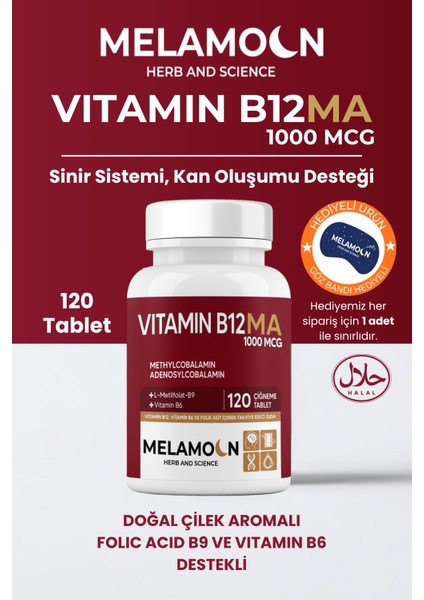 B12, B6 ve Folik Asit: Sinir Sistemi, Kan Oluşumu Desteği 1000MCG 120 Tablet
