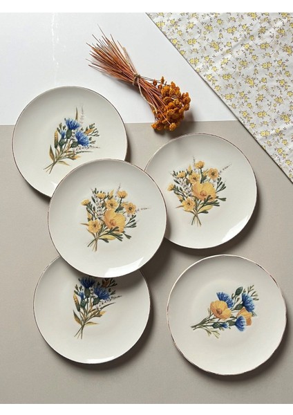 Renkli 6 Parça Pasta Takımı, 21CM, 6 Kişilik, Şık ve Kullanışlı Set