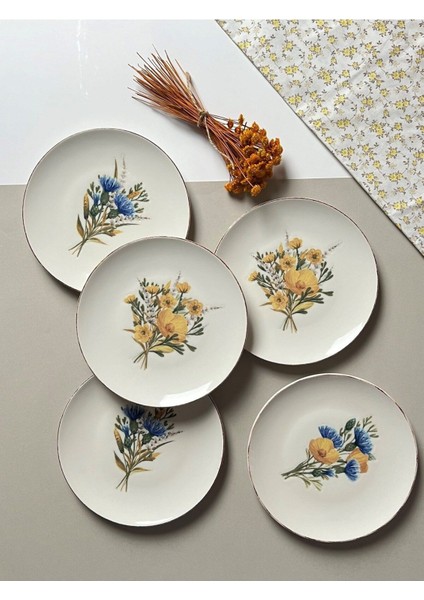 Renkli 6 Parça Pasta Takımı, 21CM, 6 Kişilik, Şık ve Kullanışlı Set modelleri