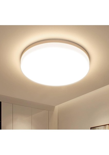 Modern 24W Ledli Metal Aydınlatma 3200K Gün Işığı Banyo Balkon Wc Işıklandırması fiyatları
