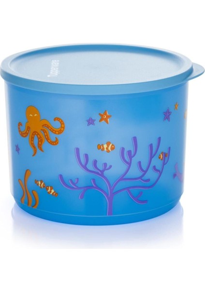 Mavi 2.1 Litre Kubbik Gıda Saklama Kabı, Denizde Yaşam Tasarımı