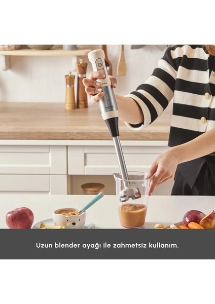 Mastermaid 1500 W Çok Amaçlı Mutfak Robotu Inox Gövde fırsatları