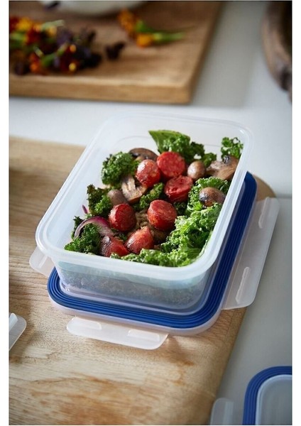 Şeffaf Plastik Saklama Kabı Seti, 1,0 Lt, Kare ve Dikdörtgen, 3 Parça