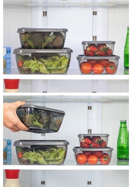 10 Parça Çok Amaçlı Saklama Kabı Seti, Gri, Çeşitli Boyutlar, Pratik ve Şık Kullanım