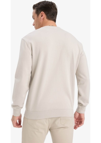 Bej Erkek Sweatshirt E8339AX/BG766 indirimleri