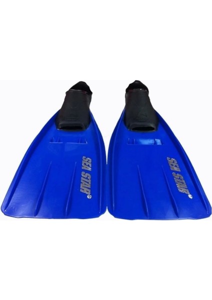 Renkli Deniz Yıldızı Palet Seti, Eğlenceli ve Canlı Deniz Teması