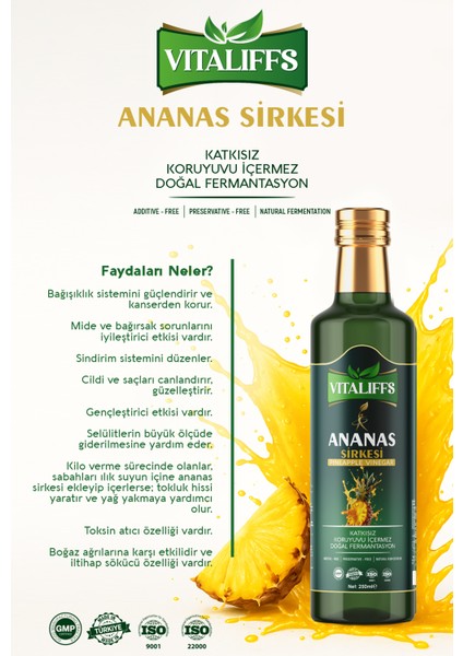 Ananas ve Kinoalı Form Sirkesi Kilo Vermeye Yardımcı fiyatları